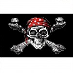 Drapeau Pirate 150 x 90 cm