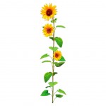 Sticker Tournesol 66.3 x 17 cm