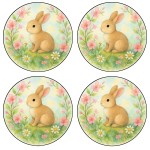 Set de 4 dessous-de-verre ronds Lapin Fleuri