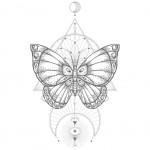 Sticker mural - Papillon Boho