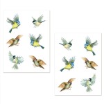 Stickers de vitres Oiseaux