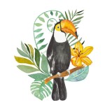 Sticker mural Toucan aquarelle