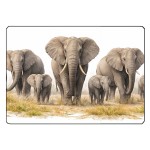 Planche � d�couper en verre �l�phants 28,5 � 20 cm