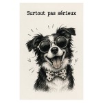 🐶 Plaque m�tal humoristique Surtout pas s�rieux 30 x 20