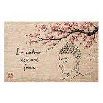 Plaque m�tal zen Bouddha � Le calme est une force �