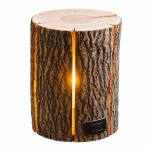 Lampe tronc de Fr�ne v�ritable fait � la main 30 cm