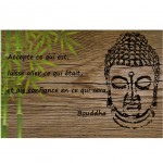 Plaque mtal Citation Bouddha  "Accepte" - 30.5 x 20 cm