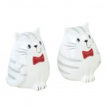 Salire et poivrire Chats Blancs