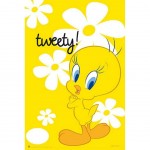 Poster Tweety - Titi 61 x 91 cm