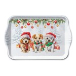 Plateau de Nol  Chiots de Nol  Ambiente